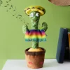 La Chaise Longue CACTUS DANSANT Store