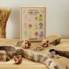 La Chaise Longue COFFRET DE 6 CASSE TETES DEFI DES DIEUX Shop