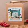 La Chaise Longue KIT MINI SERRE LIFE IS GREEN Shop