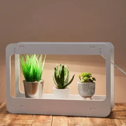 La Chaise Longue LAMPE POTAGER D'INTERIEUR Cheap