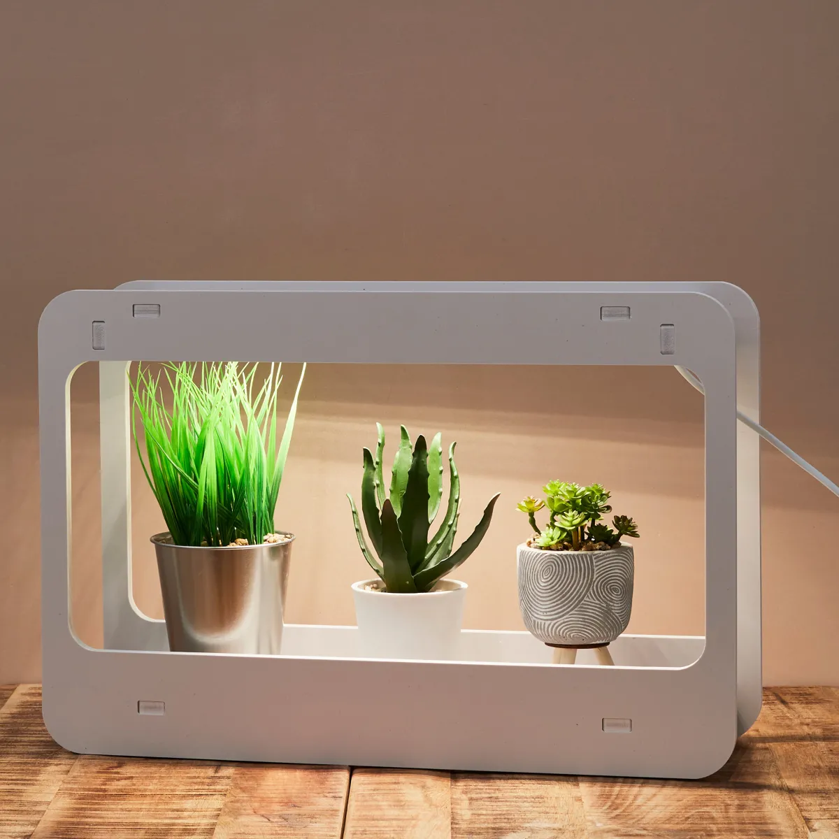 La Chaise Longue LAMPE POTAGER D'INTERIEUR Cheap