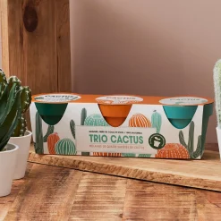 La Chaise Longue TRIO CACTUS Cheap